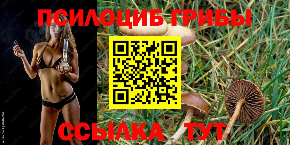 Звенигород  Галлюциногенные грибы мицелий  сколько стоит  Вход с VPN  Псилоцибиновые грибы Cubensis 